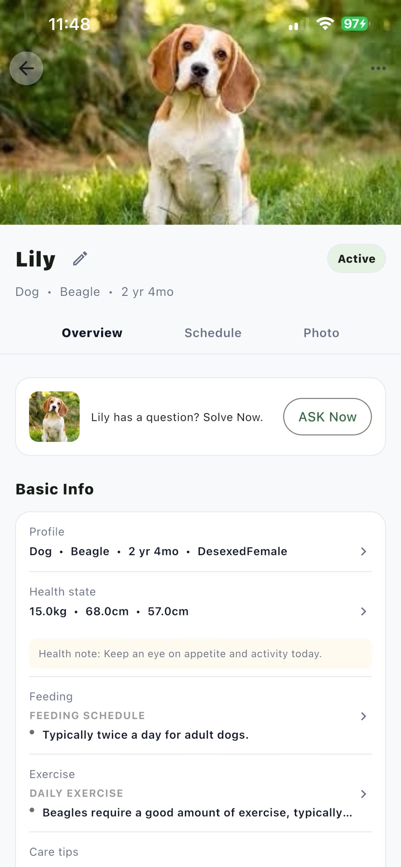 PetPal feeding guide screen