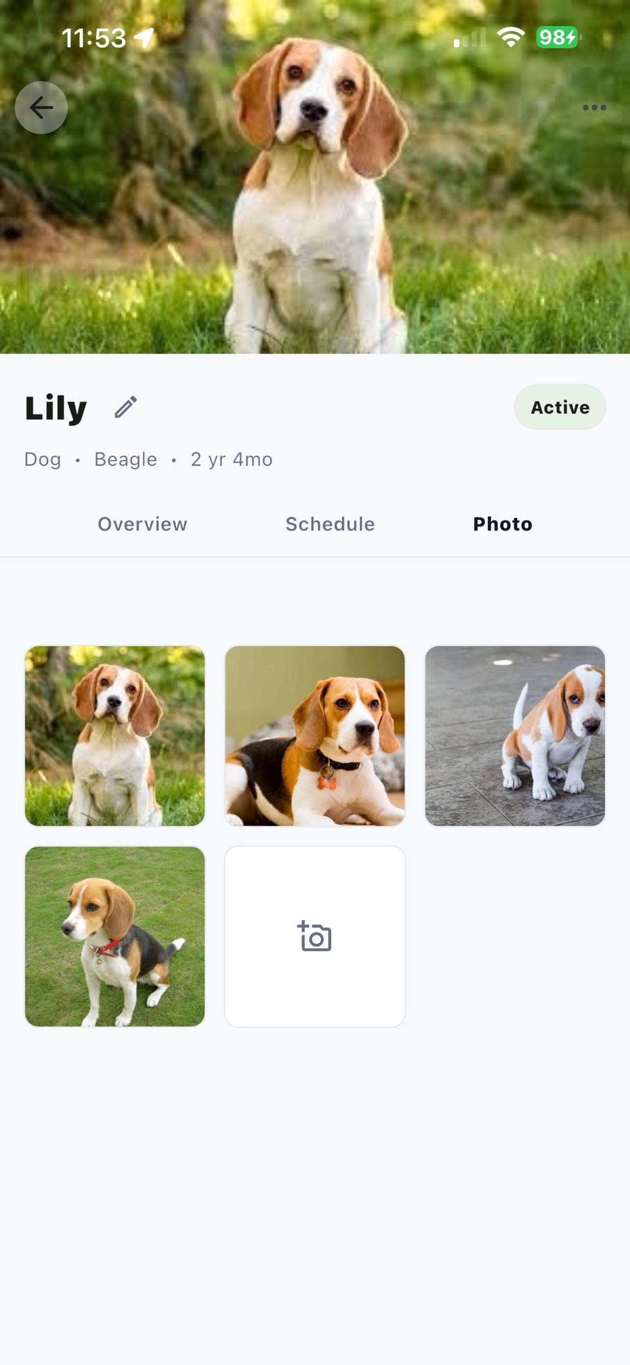 PetPal care tips screen